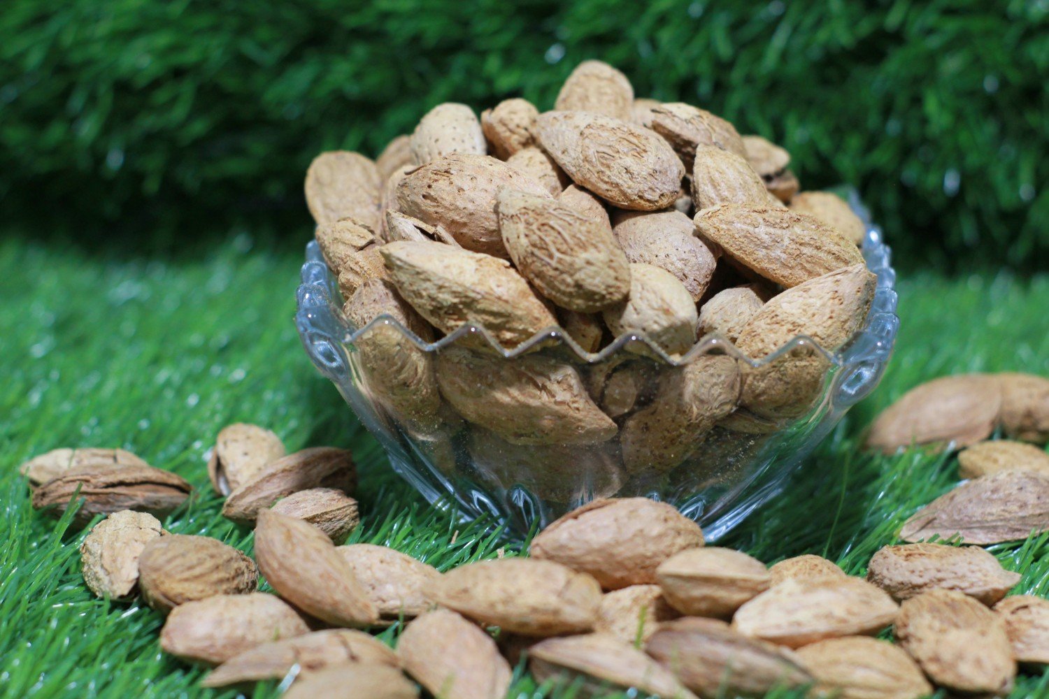 Australian Almond Kaghazi ( Badam Kaghazi )